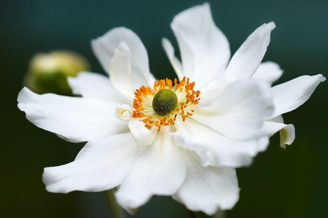 Symptoms of Perimenopause You Should Know